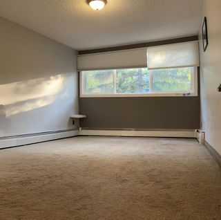 Photo 7: 201 1808 18 Street SW in Calgary: Bankview Apartment for sale : MLS®# A2052914