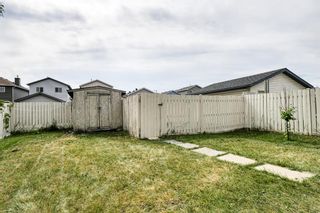 Photo 40: 261 Martin Crossing Way NE in Calgary: Martindale Detached for sale : MLS®# A1245462