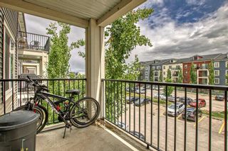 Photo 19: 4317 99 Copperstone Park SE in Calgary: Copperfield Apartment for sale : MLS®# A2069160