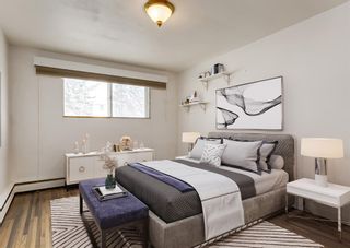 Photo 9: 101 807 48 Avenue SW in Calgary: Britannia Apartment for sale : MLS®# A1191368