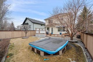 Photo 28: 133 Cranfield Park SE in Calgary: Cranston Detached for sale : MLS®# A2119113