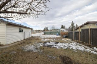 Photo 33: 3 Bermuda Drive NW in Calgary: Beddington Heights Detached for sale : MLS®# A1172789