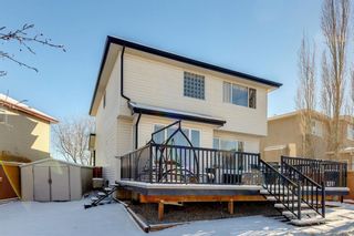 Photo 42: 153 Panamount Court NW in Calgary: Panorama Hills Detached for sale : MLS®# A2093396