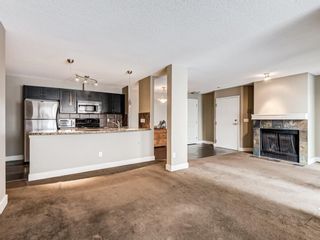 Photo 22: 1 203 Village Terrace SW in Calgary: Patterson Apartment for sale : MLS®# A1050271