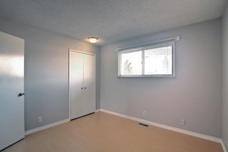 Photo 16: 11 Maryvale Place NE in Calgary: Marlborough Detached for sale : MLS®# A1207159