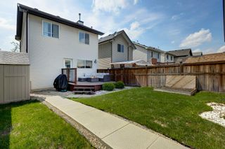 Photo 28: 118 Cranberry Close SE in Calgary: Cranston Detached for sale : MLS®# A2050518