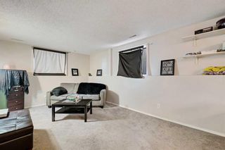 Photo 22: 5220 19 Avenue NW in Calgary: Montgomery Detached for sale : MLS®# A2124748
