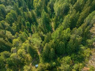 Photo 5: 2009 HAPPY VALLEY ROAD in Rossland: Vacant Land for sale : MLS®# 2472960