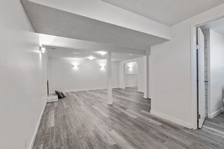 Photo 25: 224 Whiteview Road NE in Calgary: Whitehorn Detached for sale : MLS®# A1038937