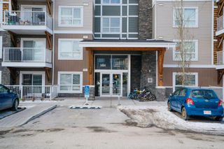 Photo 1: 3107 302 Skyview Ranch Drive NE in Calgary: Skyview Ranch Apartment for sale : MLS®# A2020737