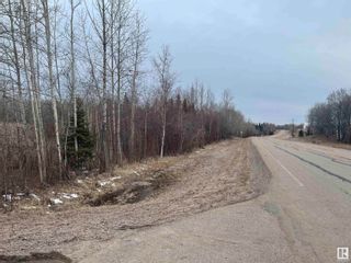 Photo 3: Twp 492 RR 52: Rural Brazeau County Vacant Lot/Land for sale : MLS®# E4289275
