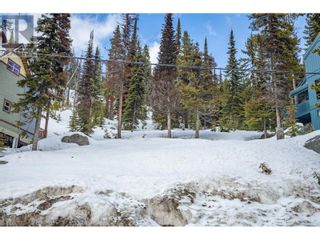 Photo 12: 7370 Porcupine Road in Big White: Vacant Land for sale : MLS®# 10304581