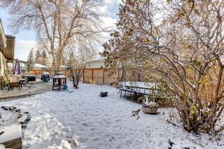 Photo 32: 3803 25 Avenue SW in Calgary: Glendale Detached for sale : MLS®# A2014172