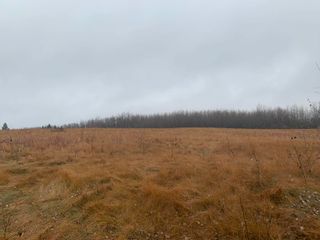 Photo 3: 301 GLEN HAVEN Crescent: Rural Wetaskiwin County Rural Land/Vacant Lot for sale : MLS®# E4267710