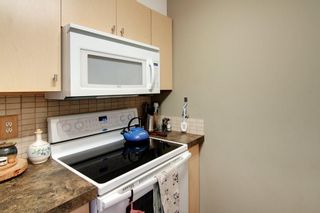 Photo 10: 306 3000 Citadel Meadow Point NW in Calgary: Citadel Apartment for sale : MLS®# A1244285
