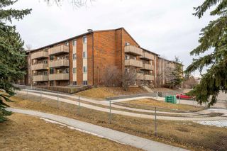 Main Photo: 604 11620 Elbow Drive SW in Calgary: Canyon Meadows Apartment for sale : MLS®# A2116084