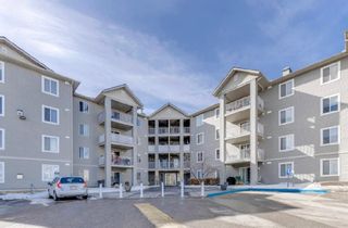 Photo 1: 1203 604 8 Street SW: Airdrie Apartment for sale : MLS®# A1193853