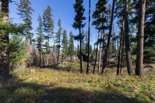 Photo 13: 3281 Hall Road, in Kelowna: Vacant Land for sale : MLS®# 10268856