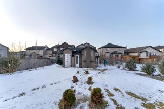 Photo 42: 29 Canals Cove SW: Airdrie Detached for sale : MLS®# A2013144