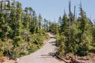 Photo 6: LOT B Hawkes Rd in Ucluelet: Vacant Land for sale : MLS®# 956705