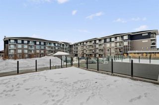 Photo 36: 2306 76 Cornerstone Passage NE in Calgary: Cornerstone Apartment for sale : MLS®# A2092947