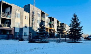 Photo 21: 1213 1317 27 Street SE in Calgary: Albert Park/Radisson Heights Apartment for sale : MLS®# A2097427
