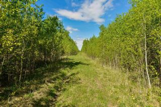 Photo 3: RR51 Twp Rd 550: Rural Lac Ste. Anne County Rural Land/Vacant Lot for sale : MLS®# E4266697