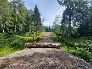 Photo 16: 7987 RIDGE Drive in Prince George: Cranbrook Hill Land for sale (PG City West)  : MLS®# R2736266