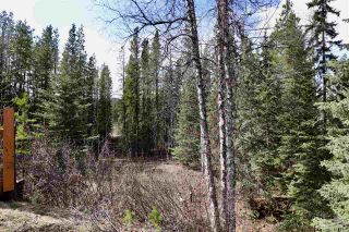Photo 15: 1504 AVELING COALMINE Road in Smithers: Smithers - Rural House for sale (Smithers And Area (Zone 54))  : MLS®# R2452977