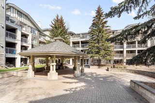 Photo 40: 124 35 Richard Court SW in Calgary: Lincoln Park Apartment for sale : MLS®# A2050442
