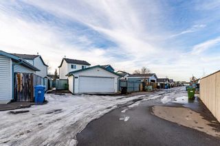 Photo 27: 133 Martin Crossing Crescent NE in Calgary: Martindale Detached for sale : MLS®# A2113059