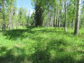 Photo 38: 351035A Range Road 61: Rural Clearwater County Detached for sale : MLS®# C4297657