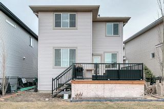 Photo 40: 160 Sherwood Crescent NW in Calgary: Sherwood Detached for sale : MLS®# A1176108