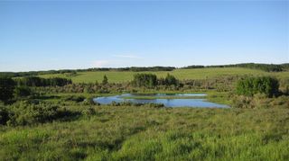 Photo 16: TWP RD 272 & RR 41 in Rural Rocky View County: Rural Rocky View MD Residential Land for sale : MLS®# A2012705