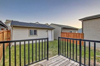 Photo 44: 33 Masters Crescent SE in Calgary: Mahogany Detached for sale : MLS®# A2085285