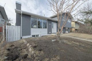 Photo 2: 4916 Whitehorn Drive NE in Calgary: Whitehorn Detached for sale : MLS®# A2114667