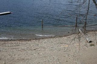 Photo 8: Affordable Adams Lake Waterfront!