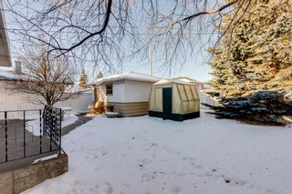 Photo 22: 14 Cornell Road NW in Calgary: Cambrian Heights Detached for sale : MLS®# A2012548