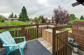 Photo 27: 4940 RUNDLEWOOD Drive NE in Calgary: Rundle Duplex for sale : MLS®# A1017384