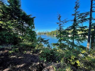 Photo 21: 1172 Coral Way in Ucluelet: PA Ucluelet Land for sale (Port Alberni)  : MLS®# 915673