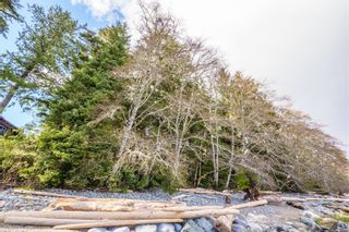 Photo 12: 1198 Front St in Ucluelet: PA Salmon Beach Land for sale (Port Alberni)  : MLS®# 899666