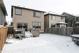 Photo 27: 210 Autumn Circle SE in Calgary: Auburn Bay Detached for sale : MLS®# A1189310