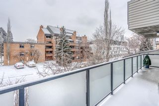 Photo 23: 306 1732 9A Street SW in Calgary: Lower Mount Royal Apartment for sale : MLS®# A2117753