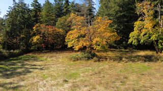 Photo 17: Lot 4 & 5 Inverness Rd in North Saanich: NS Ardmore Land for sale : MLS®# 945901