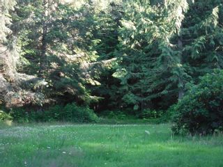Photo 12: 523 TONQUIN Road in Bella Coola: Bella Coola/Hagensborg Land for sale (Williams Lake)  : MLS®# R2709897