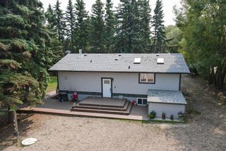 Photo 33: 65 39026 Range Road 275: Linn Valley Detached for sale : MLS®# A2019529