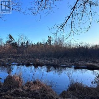 Photo 16: 18474 Highway 103 in Middlewood: Vacant Land for sale : MLS®# 202401030