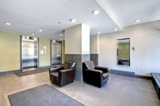 Photo 22: 902 706 15 Avenue SW in Calgary: Beltline Apartment for sale : MLS®# A1232068
