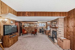 Photo 26: 3816 Dover Ridge Drive SE in Calgary: Dover Detached for sale : MLS®# A2124560