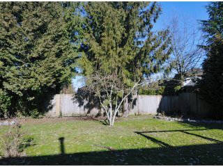 Photo 9: 22055 CANUCK in Maple Ridge: West Central House for sale : MLS®# V867949